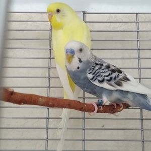 Meet your Posher, Wendy